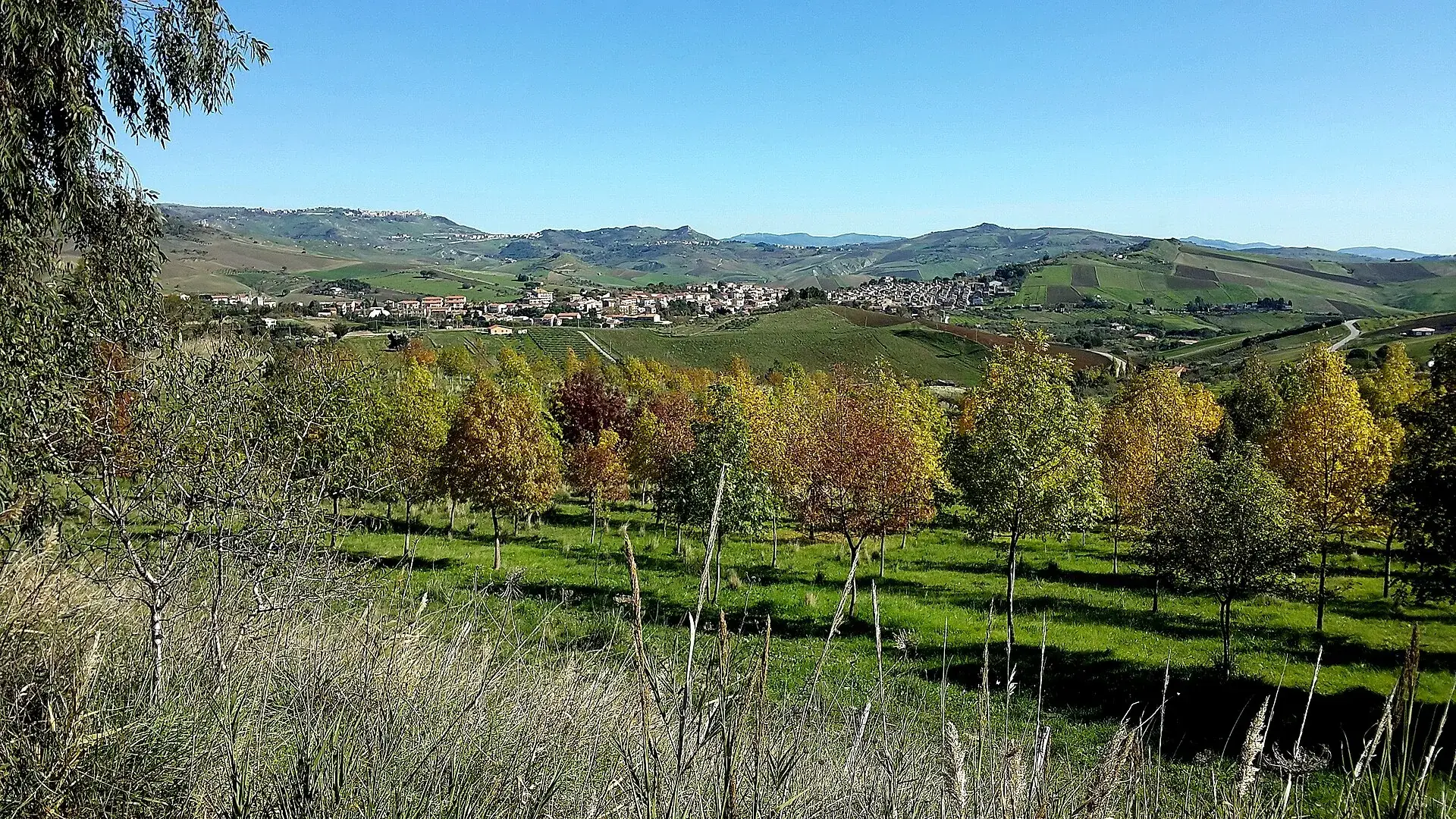 Castellana Sicula in lontananza tra le colline, dietro una fila di alberi con le foglie d’autunno