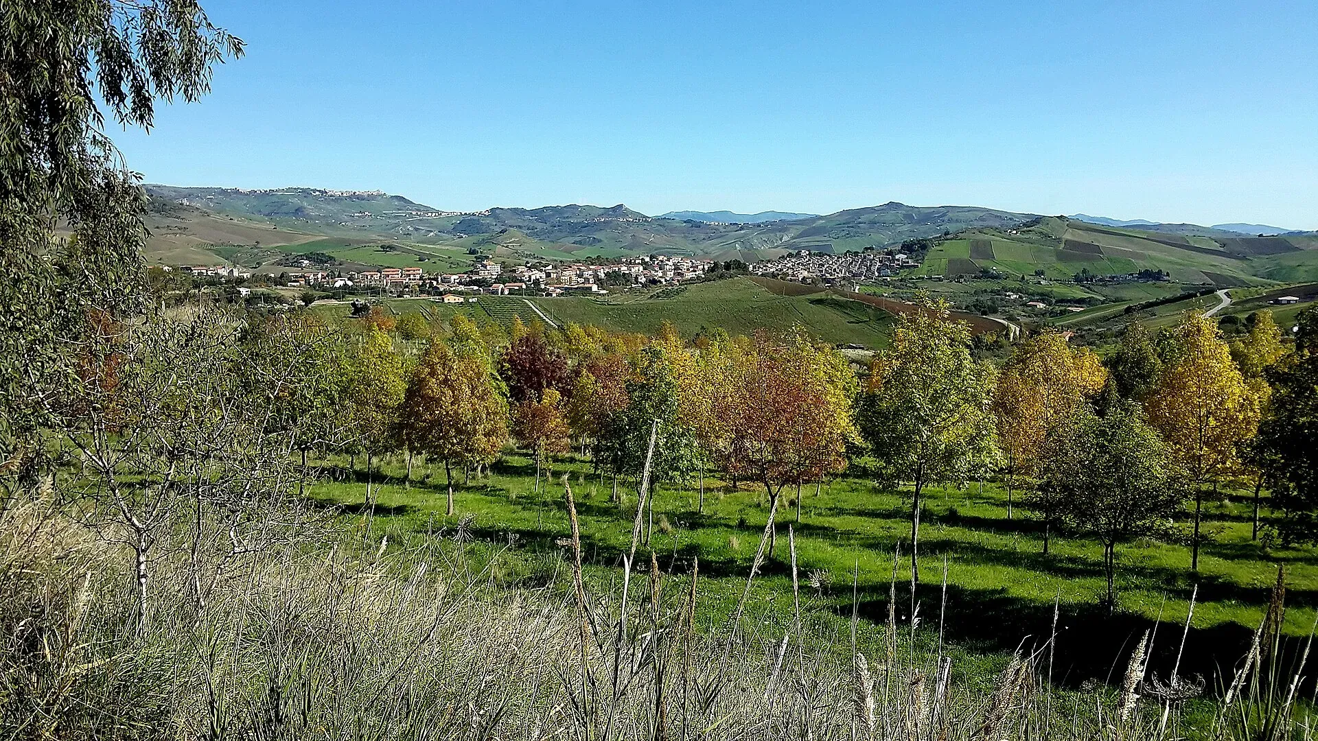 Castellana Sicula in lontananza tra le colline, dietro una fila di alberi con le foglie d’autunno