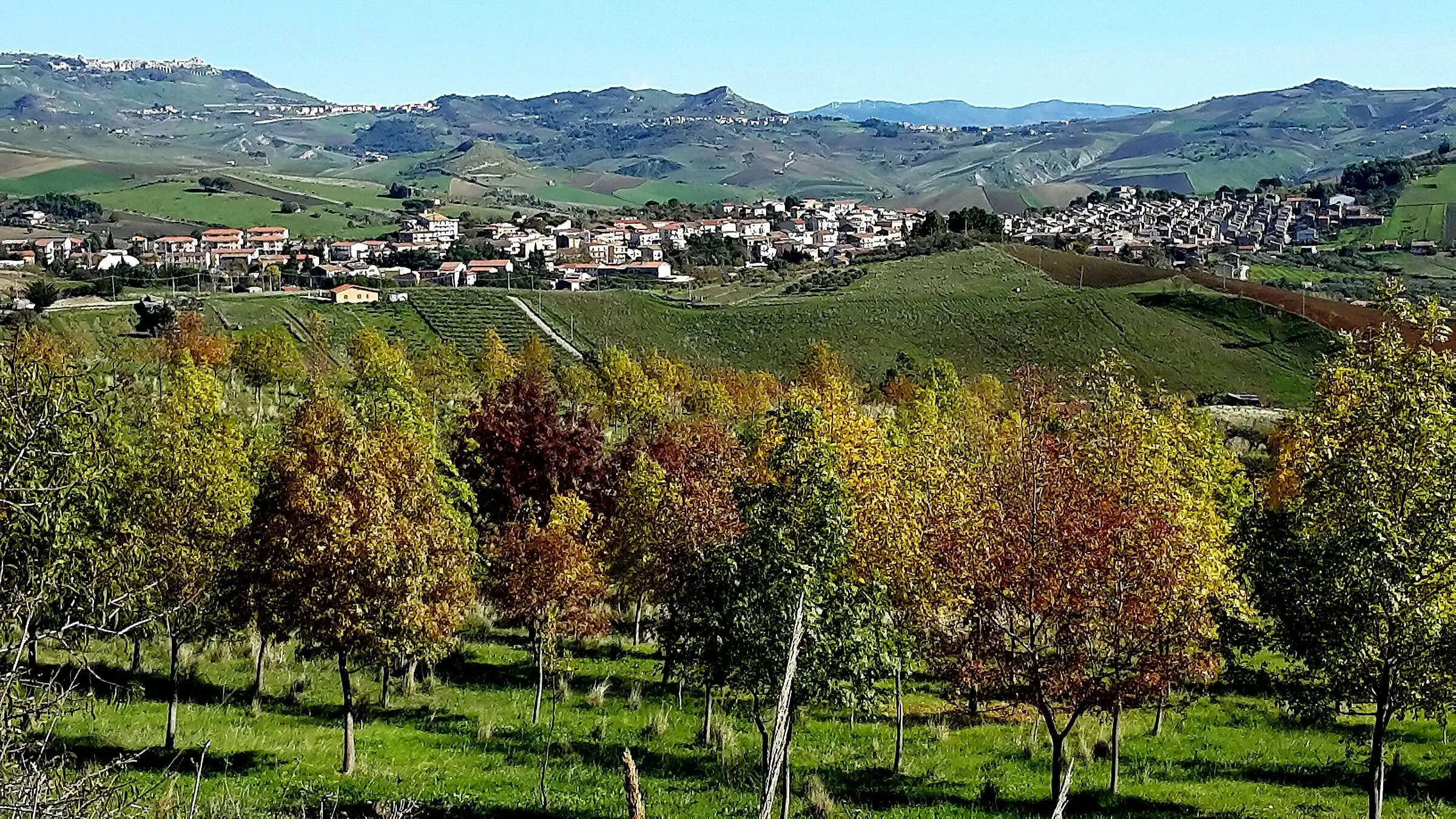 Le case di Castellana Sicula tra i campi, con le colline delle Madonie dietro e alberi d’autunno in primo piano