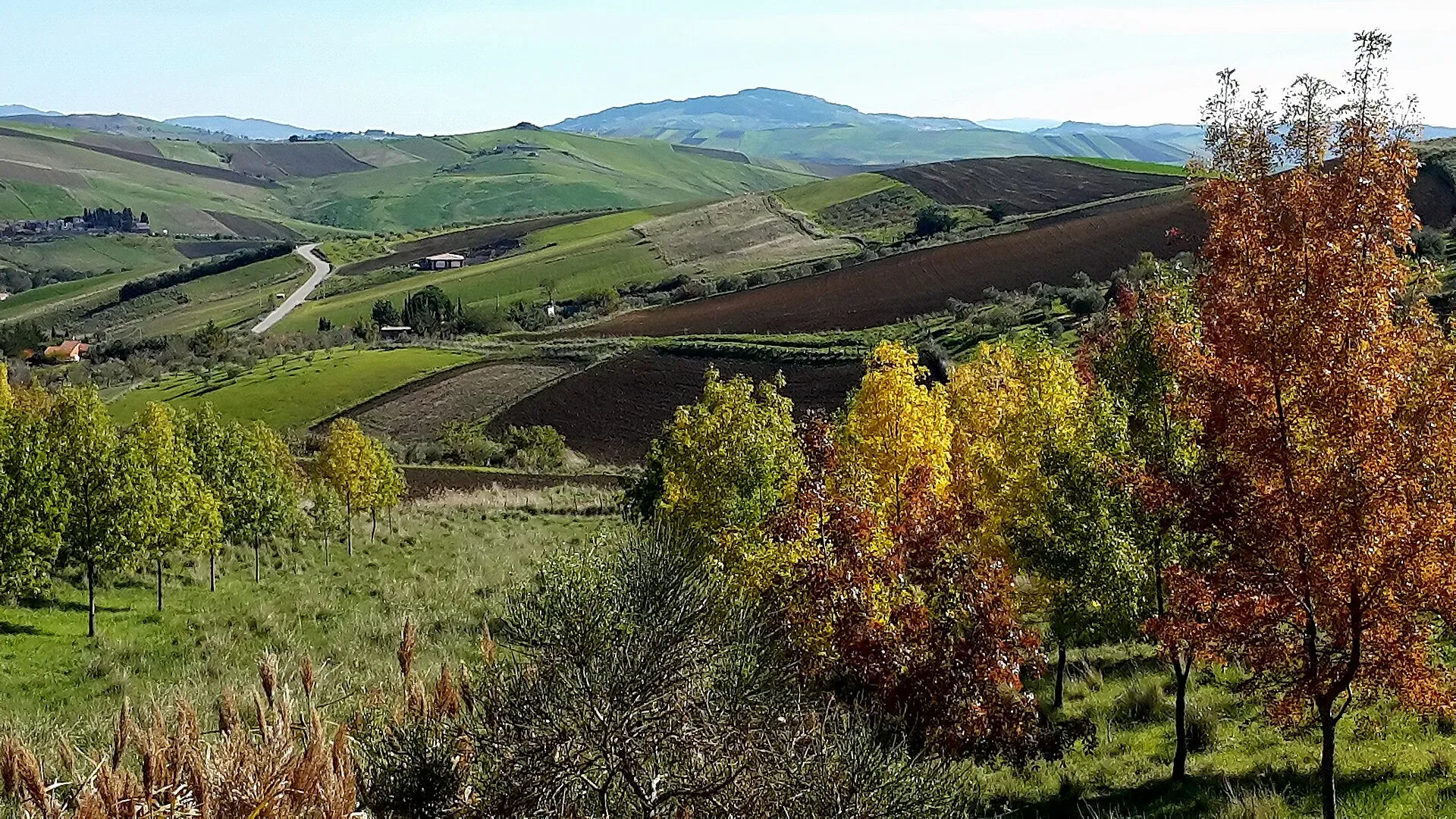 Colline coltivate intorno a Castellana Sicula, con alberi gialli e rossi in primo piano