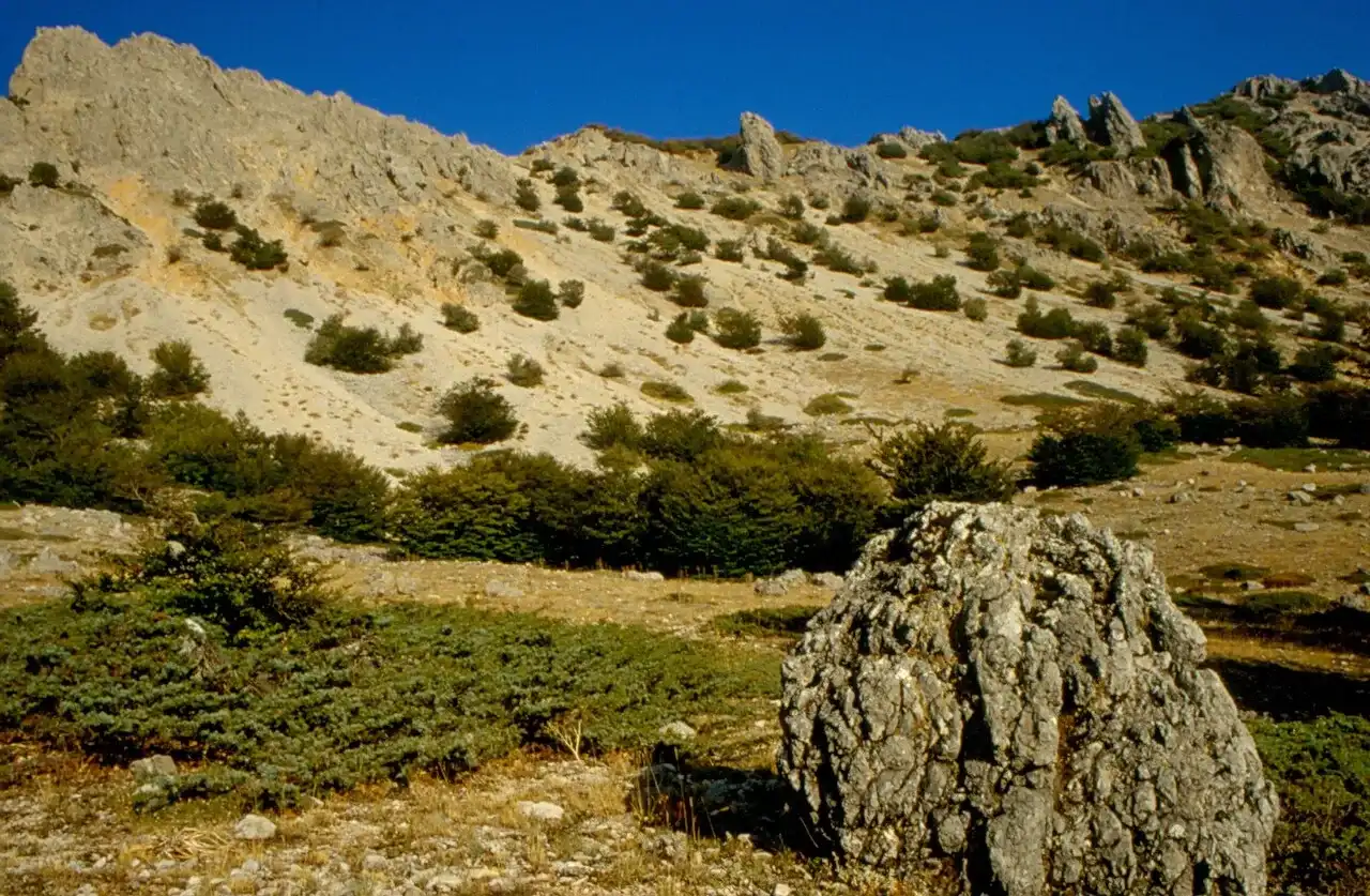 Pareti e guglie calcaree della Quacella sopra un pendio di arbusti, con un grande masso in primo piano
