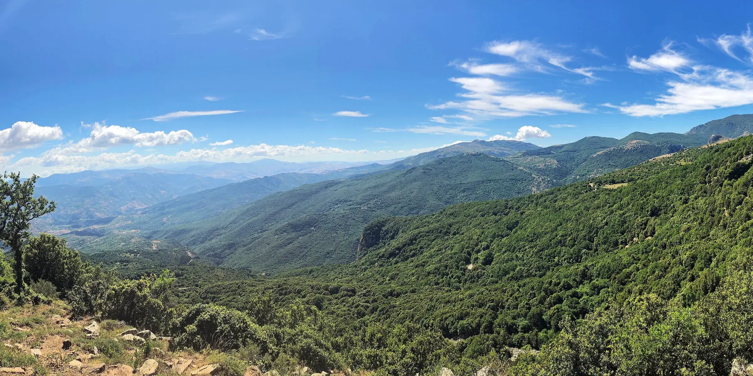 Boschi e vallate verdi del Parco delle Madonie visti dal sentiero degli agrifogli, con le cime sullo sfondo