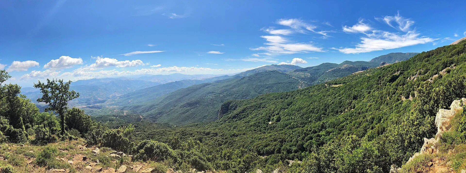 Valli coperte di boschi nel Parco delle Madonie, viste dal sentiero degli agrifogli