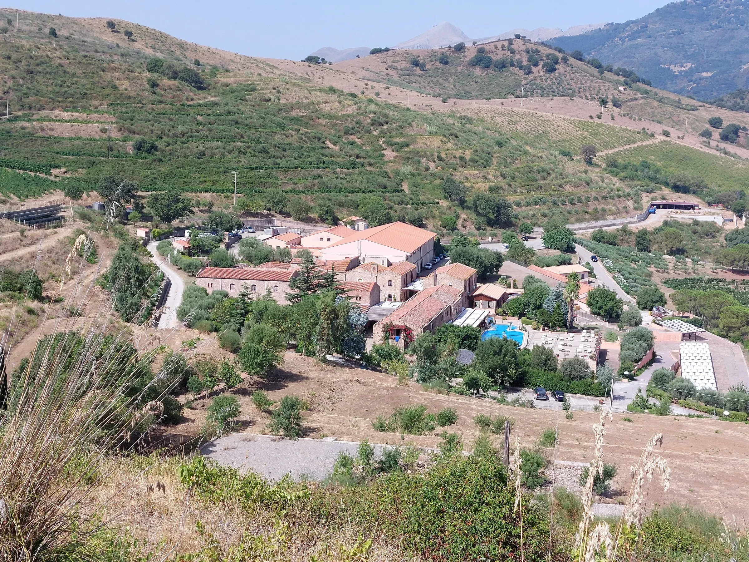 Vigneti e uliveti sulle colline intorno all'Abbazia Santa Anastasia, nelle campagne di Castelbuono