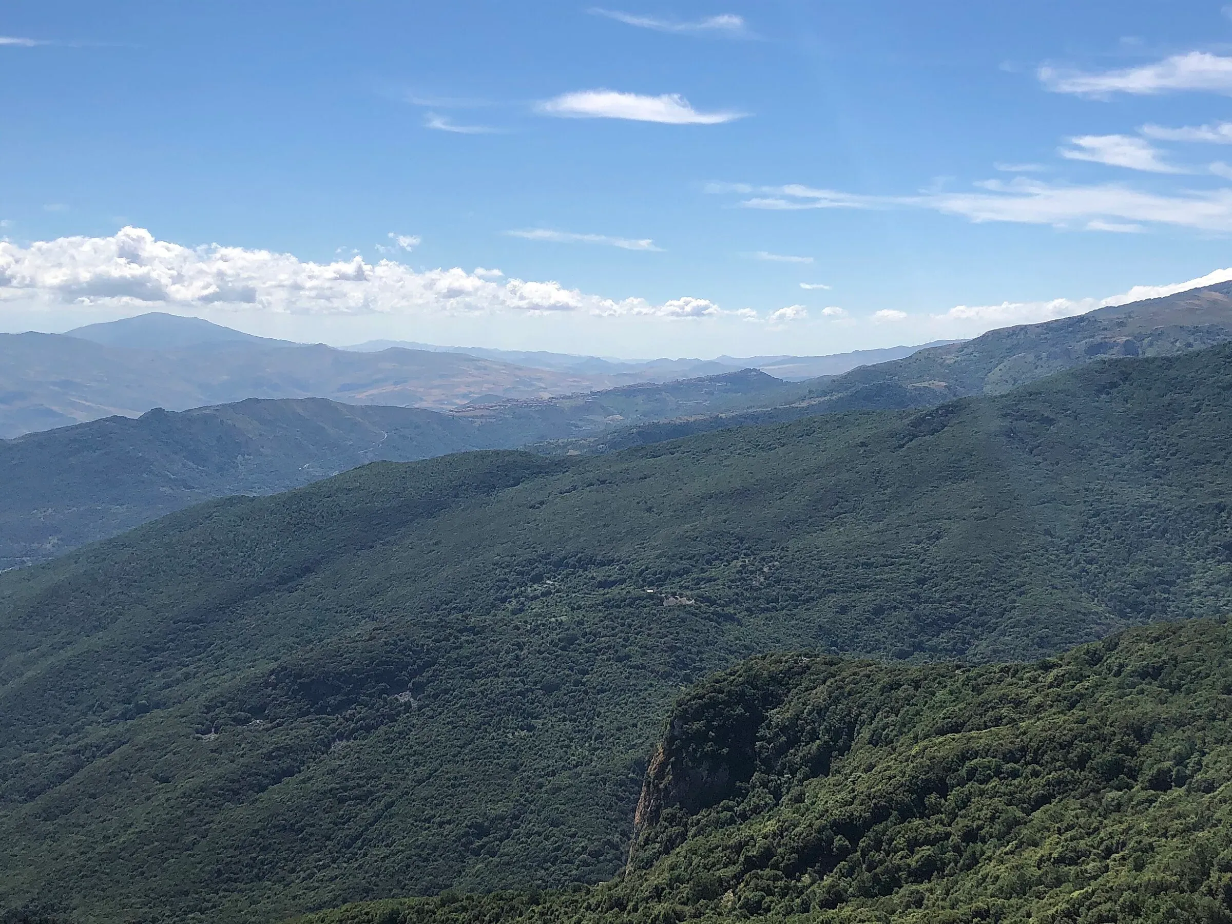 Le valli coperte di boschi sotto Piano Sempria, con le colline delle Madonie fino all’orizzonte
