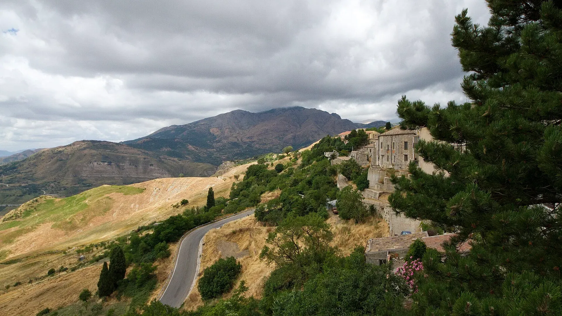 La strada che sale a Petralia Soprana tra pini e pendii, con le Madonie dietro