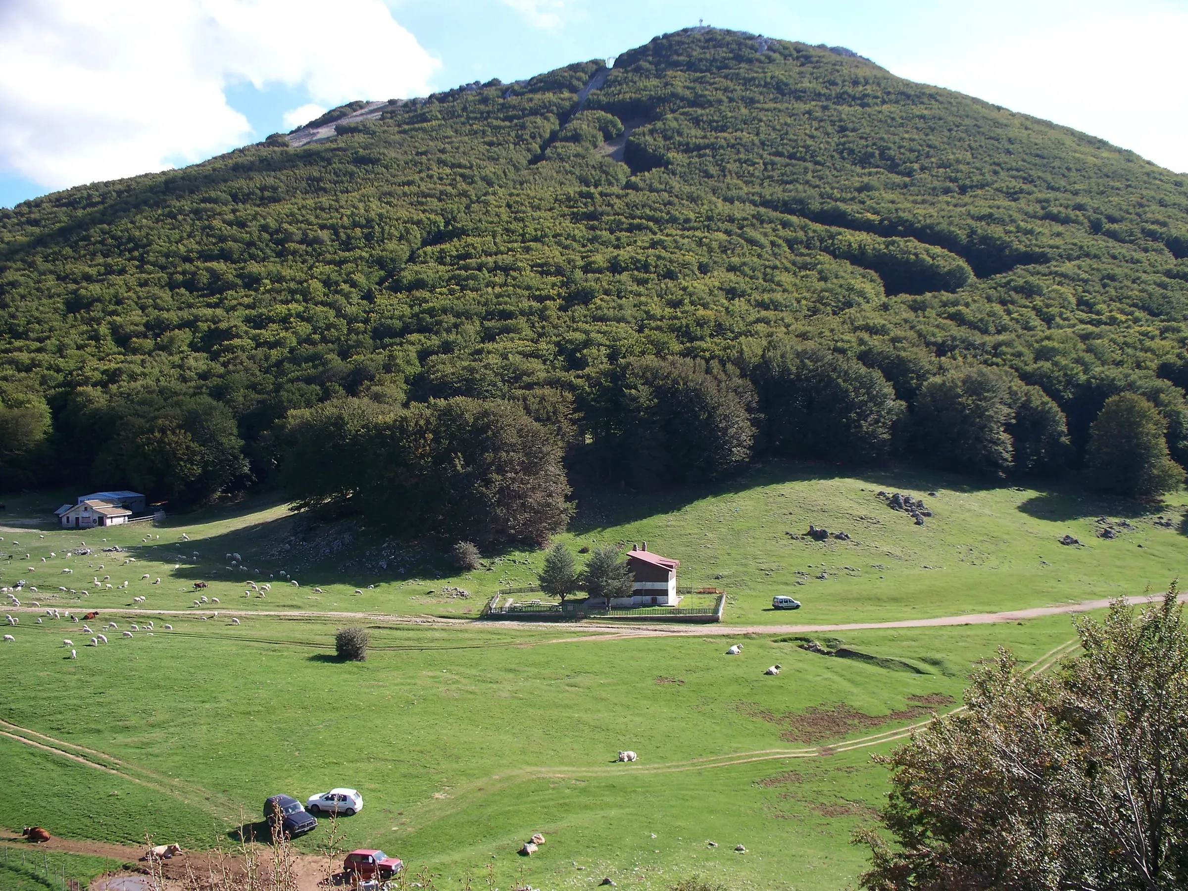 I prati di Piano Battaglia con le pecore al pascolo, un rifugio e il versante coperto di faggi