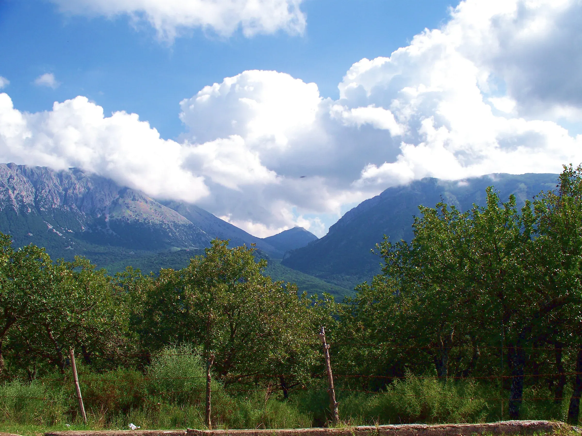 Le montagne del Parco delle Madonie avvolte dalle nuvole, viste oltre un frutteto