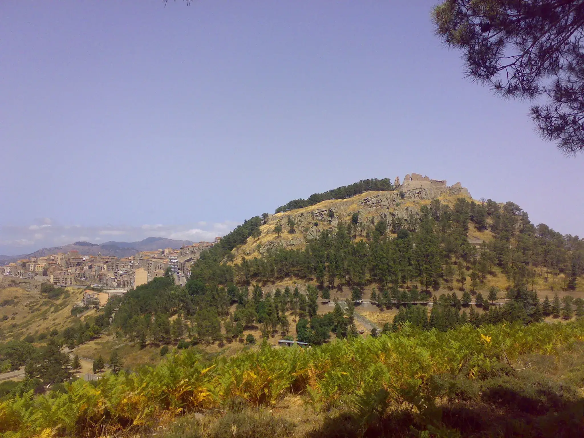 La rocca di Geraci Siculo coperta di pini, con le case del paese ai suoi piedi