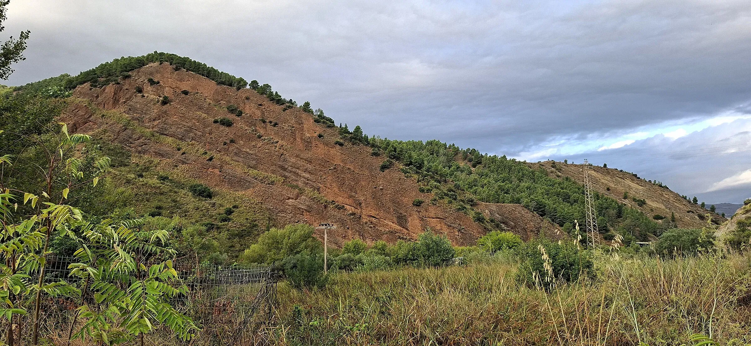 Una collina di terra rossa e pini a Scillato, sotto un cielo nuvoloso
