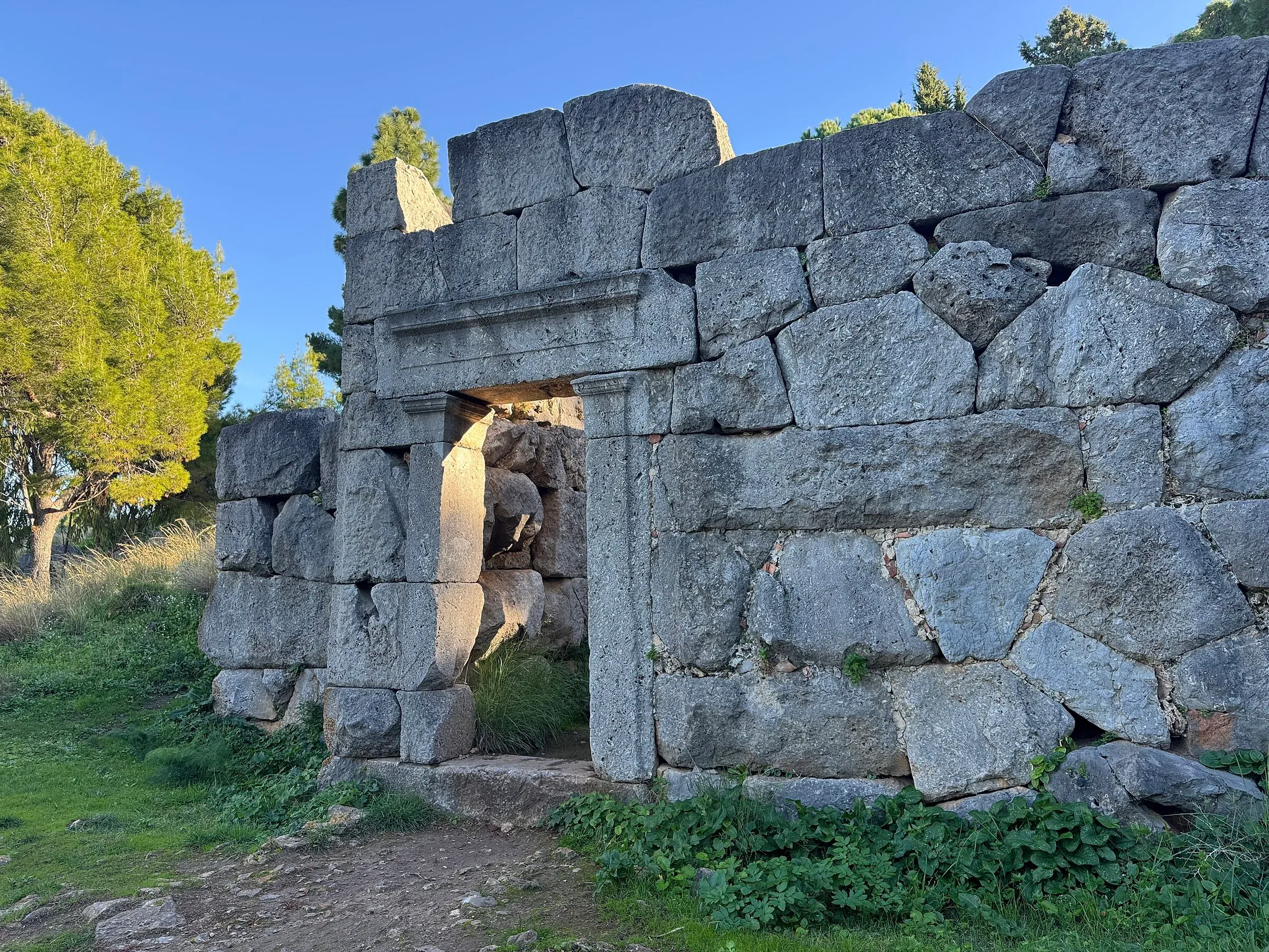 Il Tempio di Diana sulla Rocca di Cefalù: un muro di grandi blocchi di pietra con il portale, tra i pini