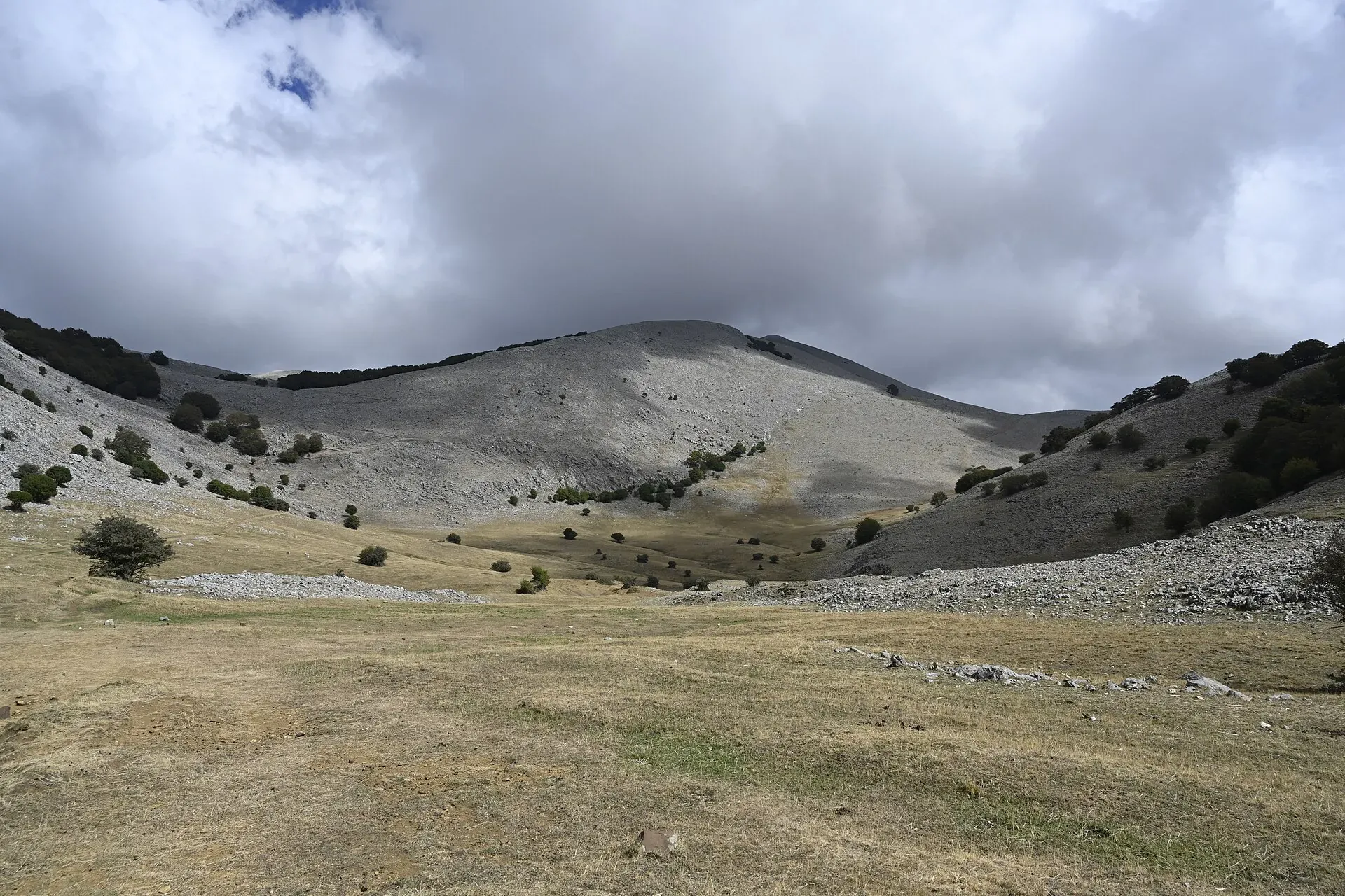 Il pianoro di Piano Battaglia con i pendii calcarei del Monte Mufara e qualche faggio sparso, sotto un cielo di nuvole