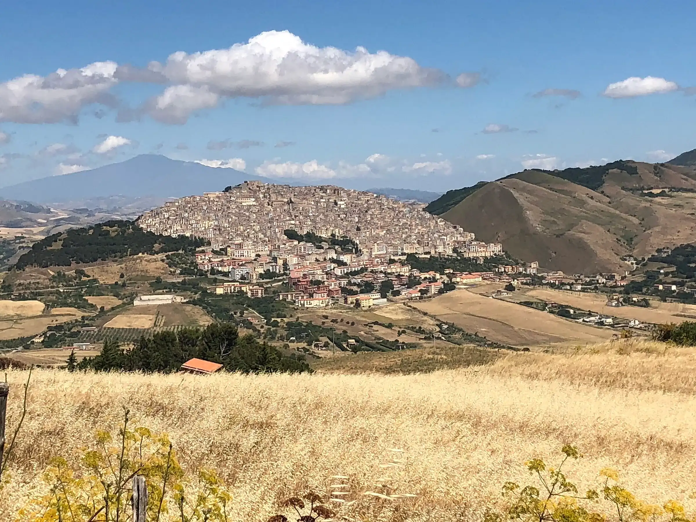 Gangi sul suo colle dietro un campo di grano maturo, con l’Etna all’orizzonte