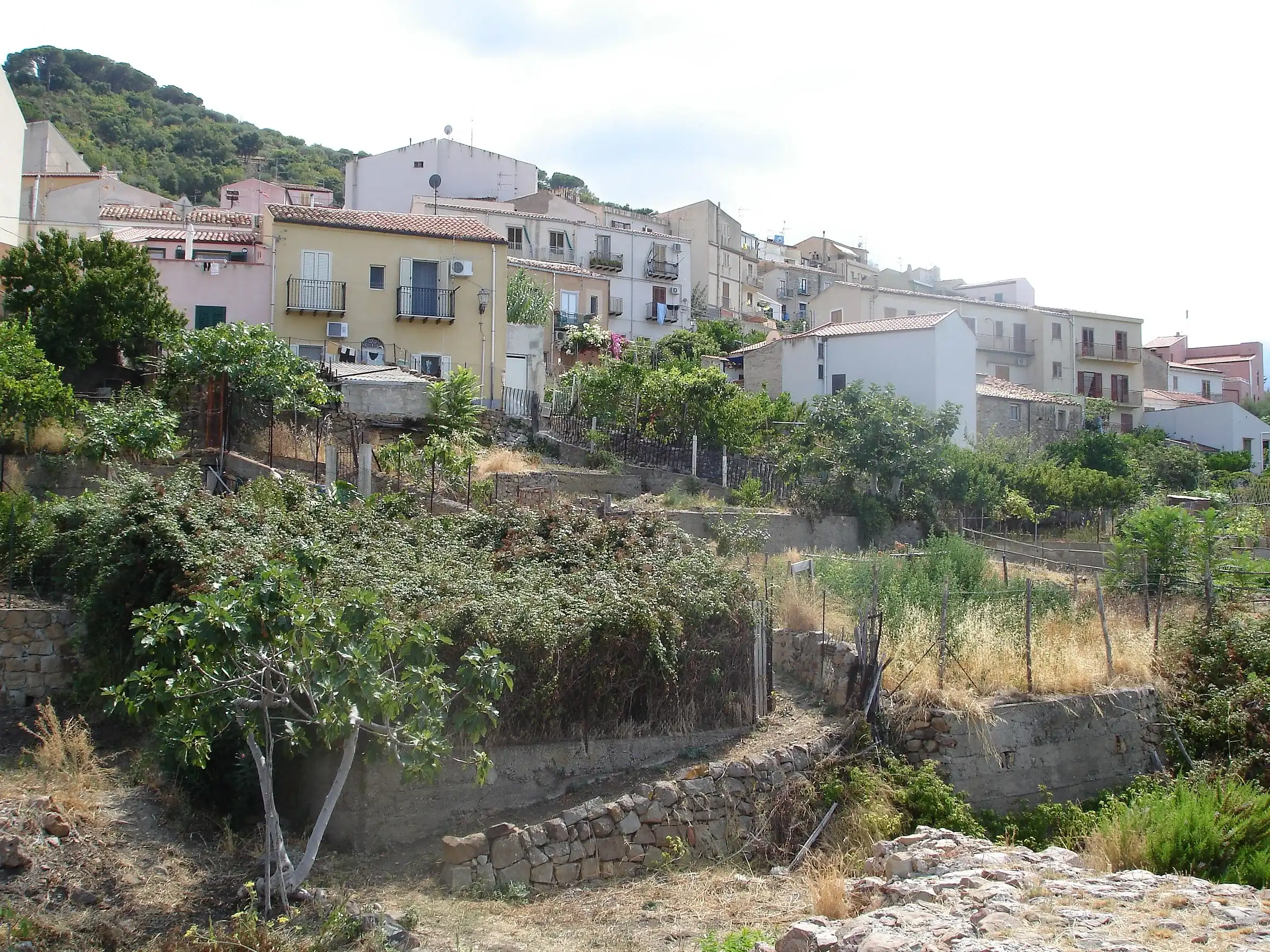 Le case di Sant’Ambrogio, la frazione sopra Cefalù, tra orti e alberi sul pendio