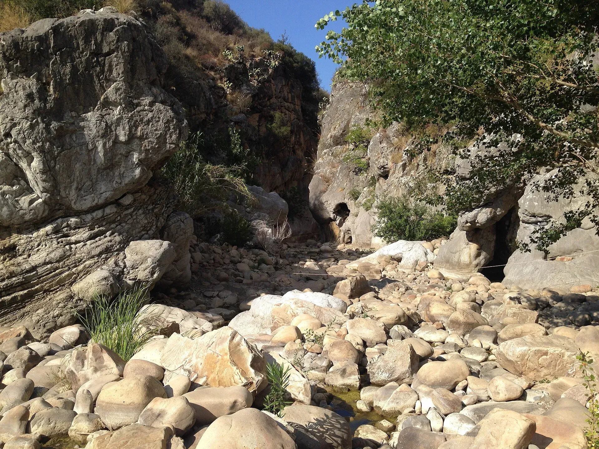 L'ingresso delle Gole di Tiberio: massi chiari nel letto del fiume Pollina tra pareti di roccia e alberi